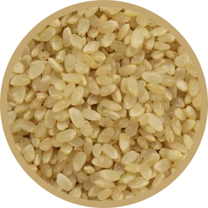 GABA