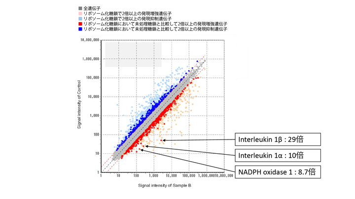 免疫活性・抗炎症作用