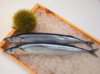 オメガ３　：　血液サラサラだけじゃない！現代人の必須脂肪酸！