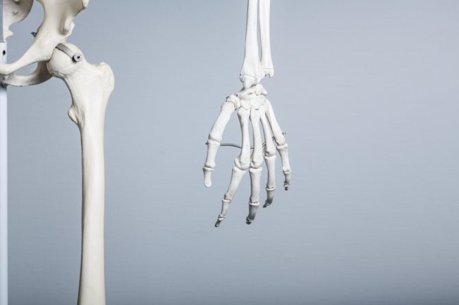 OMG150918330I9A6423_TP_V