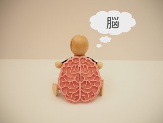 脳のしくみ