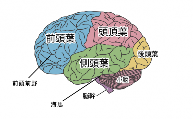作成-11
